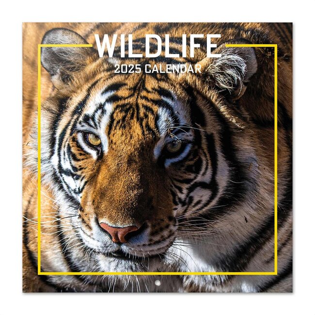Grupo Wildlife Kalender 2025