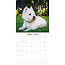 Calendario West Highland White Terrier 2025