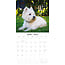 West Highland White Terrier Calendar 2025