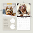 Calendario Yorkshire Terrier 2025