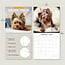 Calendrier Yorkshire Terrier 2025