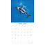 Ballenas - Calendario Ballenas 2025