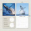 Ballenas - Calendario Ballenas 2025