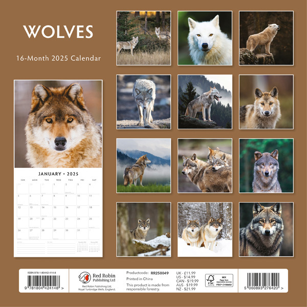 Buying Wolves Calendar 2025? Quick and easy online