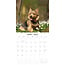 Norwich en Norfolk Terrier Kalender 2025