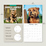 Norwich en Norfolk Terrier Kalender 2025