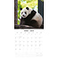 Calendrier Panda 2025