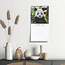 Panda Calendar 2025