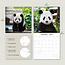 Calendrier Panda 2025