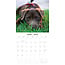 Calendrier Patterdale Terrier 2025