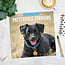 Calendrier Patterdale Terrier 2025