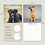 Patterdale Terrier Calendar 2025