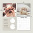 Pekinese Kalender 2025