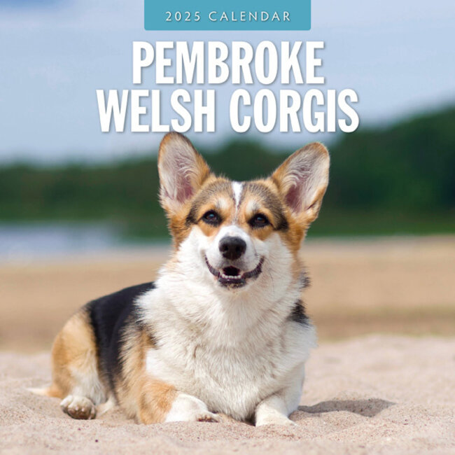 Calendario Welsh Corgi Pembroke 2025