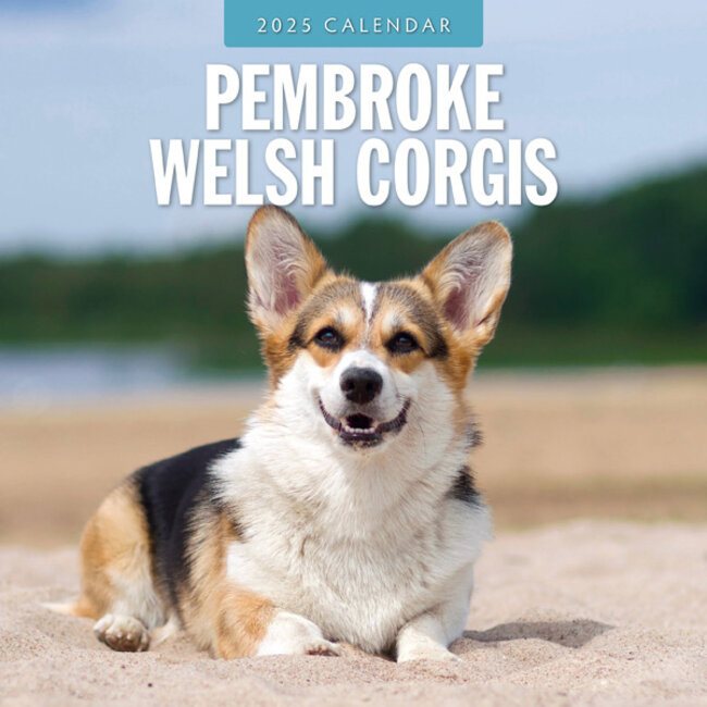 Red Robin Welsh Corgi Pembroke Calendario 2025