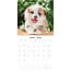 Calendario Welsh Corgi Pembroke 2025