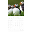 Calendario Puffin 2025