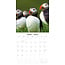 Calendrier Puffin 2025