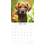 Rhodesian Ridgeback Calendario 2025