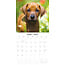 Rhodesian Ridgeback Kalender 2025