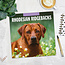 Rhodesian Ridgeback Calendario 2025