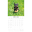 Rottweiler-Welpen Kalender 2025