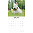 Scottish Terrier Kalender 2025