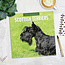 Scottish Terrier Kalender 2025