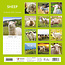 Schapen Kalender 2025