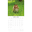 Calendario Shetland Sheepdog 2025