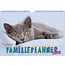 Inter-Stat Cats Family Planner 2025