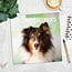 Calendario Shetland Sheepdog 2025