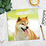 Calendario Shiba Inu 2025