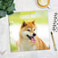 Shiba Inu Kalender 2025