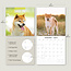 Calendario Shiba Inu 2025