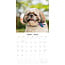 Calendario Shih Tzu 2025