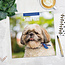 Calendario Shih Tzu 2025