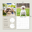 Calendario Shih Tzu 2025