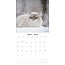 Calendario Animales de Nieve 2025