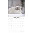 Snow Animals Kalender 2025