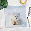 Snow Animals Calendar 2025