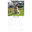 Softcoated Wheaten Terrier Calendrier 2025