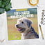 Softcoated Wheaten Terrier Kalender 2025