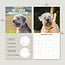 Softcoated Wheaten Terrier Calendrier 2025