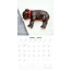 Staffordshire Bull Terrier Chiots Calendrier 2025