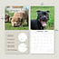 Staffordshire Bull Terrier Chiots Calendrier 2025