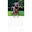 Calendario Staffordshire Bull Terrier 2025