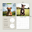 Calendario Staffordshire Bull Terrier 2025