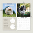 Tibetischer Terrier Kalender 2025