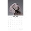 Calendario Weimaraner 2025